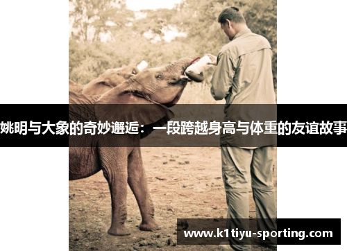 姚明与大象的奇妙邂逅：一段跨越身高与体重的友谊故事